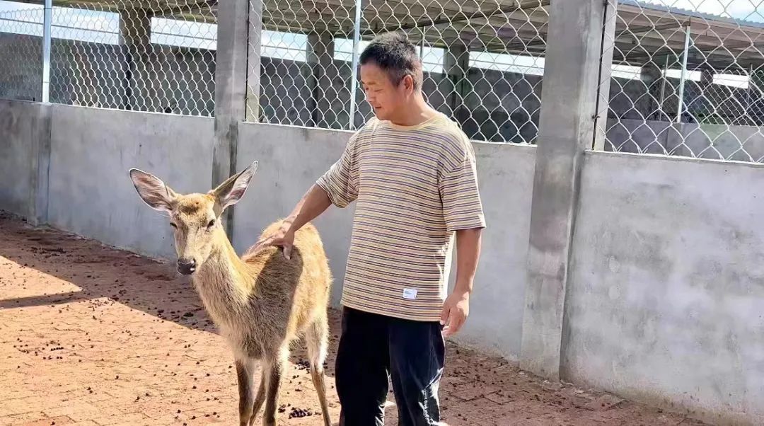 俄罗斯娱乐稳赢300吗?